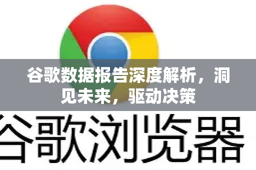 谷歌数据报告深度解析，洞见未来，驱动决策