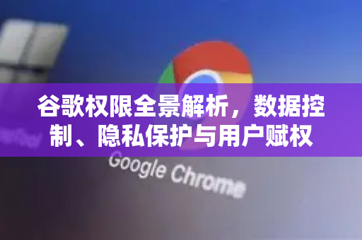 谷歌权限全景解析，数据控制、隐私保护与用户赋权