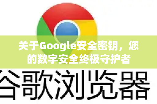 关于Google安全密钥，您的数字安全终极守护者-第1张图片-Google Chrome官方首页_极速谷歌浏览器