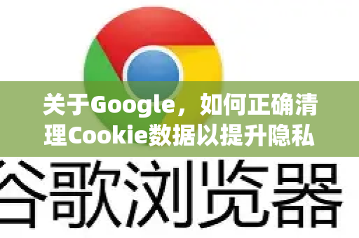 关于Google，如何正确清理Cookie数据以提升隐私与浏览速度？
