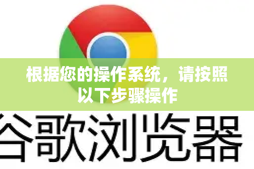 根据您的操作系统，请按照以下步骤操作-第1张图片-Google Chrome官方首页_极速谷歌浏览器
