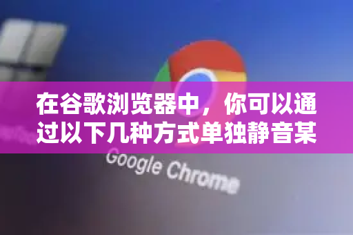 在谷歌浏览器中，你可以通过以下几种方式单独静音某个网站的声音