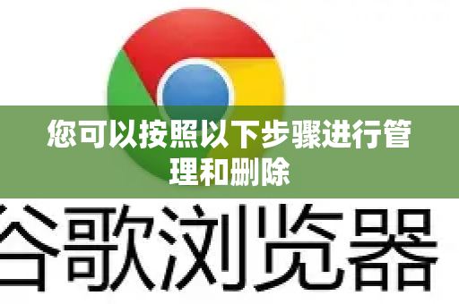 您可以按照以下步骤进行管理和删除-第1张图片-Google Chrome官方首页_极速谷歌浏览器