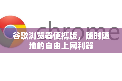谷歌浏览器便携版，随时随地的自由上网利器