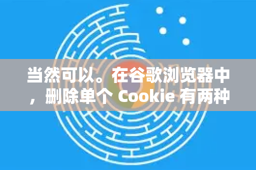 当然可以。在谷歌浏览器中，删除单个 Cookie 有两种主流方法，通过浏览器设置和通过开发者工具。第一种更直观，第二种更快捷