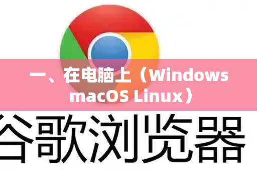 一、在电脑上（Windows macOS Linux）