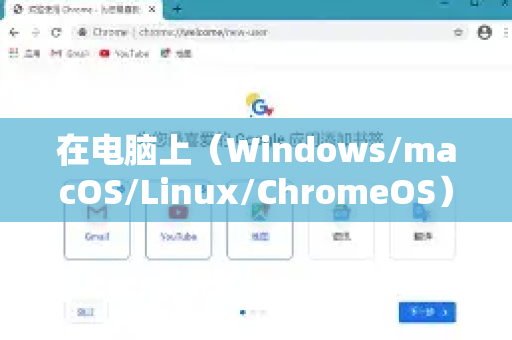 在电脑上（Windows/macOS/Linux/ChromeOS）