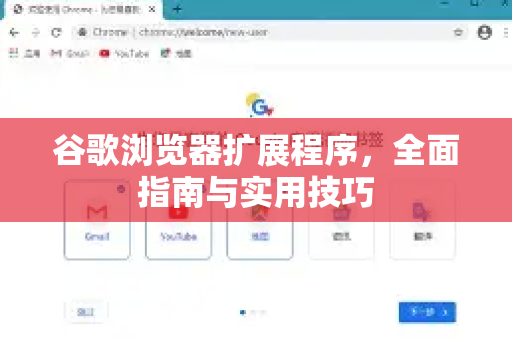 谷歌浏览器扩展程序，全面指南与实用技巧