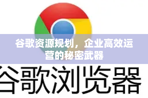 谷歌资源规划，企业高效运营的秘密武器